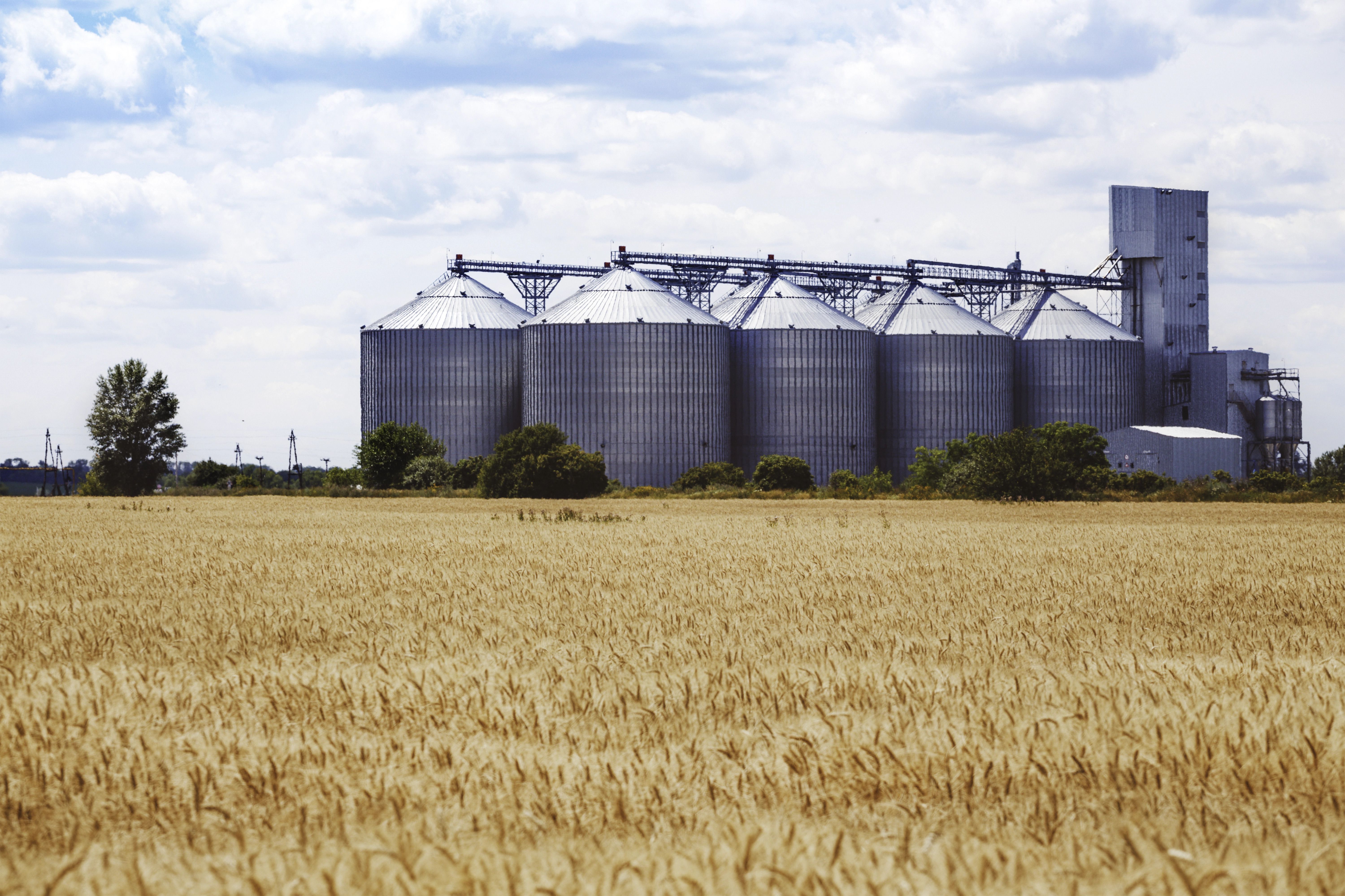 animal_feed_silo_on_cattle_farm.jpg